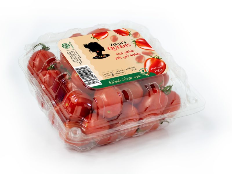 Tomates cerises baby plum rouge 500