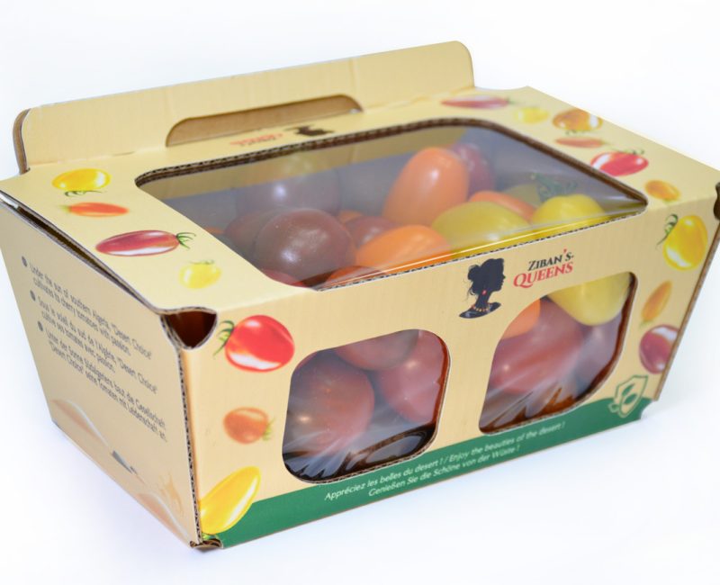 Tomates cerises mixte 500 gr